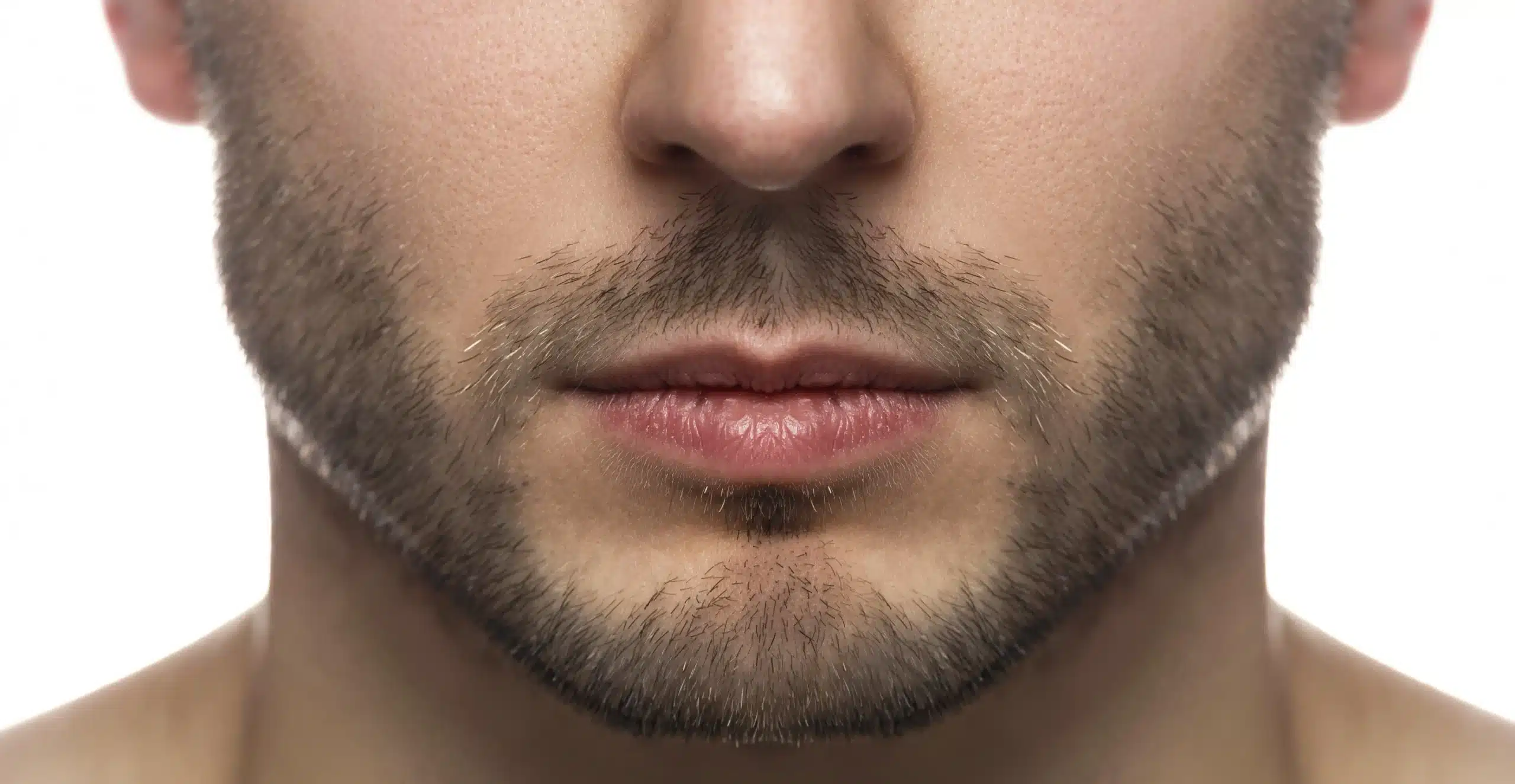 Jaw
